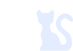 Imagem de um gato